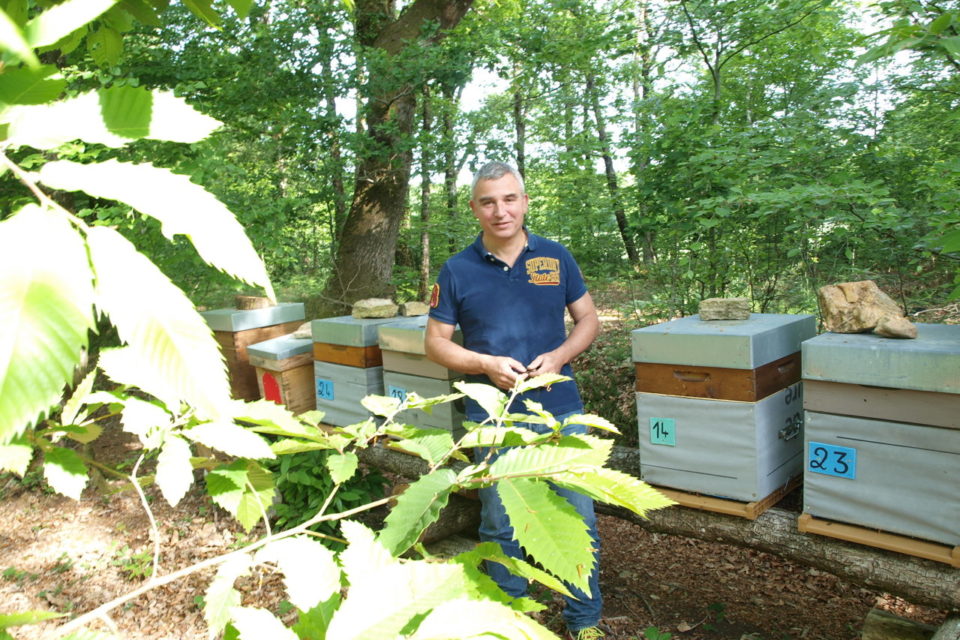 Frédéric Vandamme, apiculteur à Ploërmel
